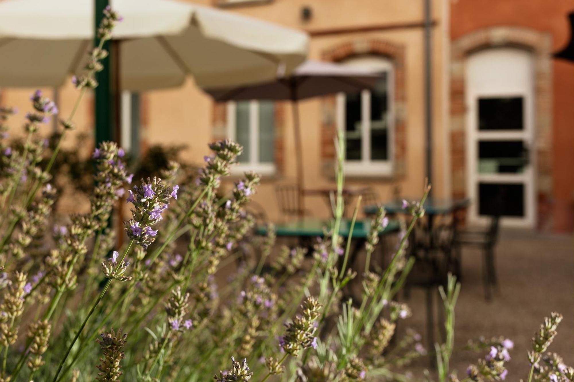 Ibis Styles Toulouse Lavaur Otel Dış mekan fotoğraf